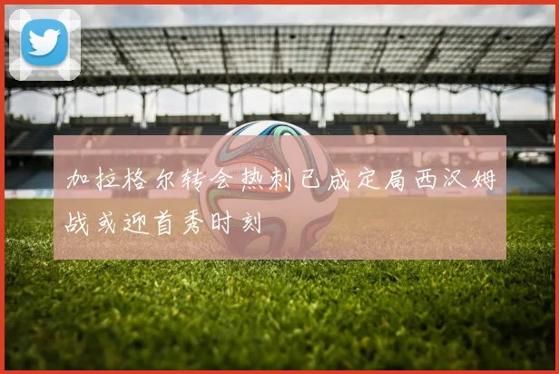 加拉格尔转会热刺已成定局西汉姆战或迎首秀时刻