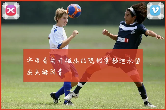 字母哥离开雄鹿的隐忧霍勒迪未留成关键因素