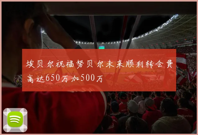 埃贝尔祝福努贝尔未来顺利转会费高达650万加500万